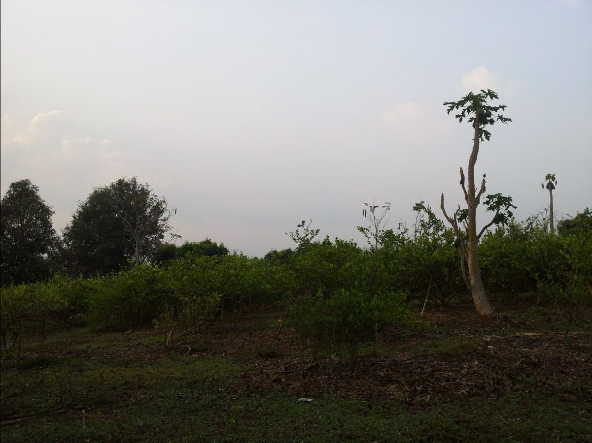 201302 Chiang Mai26